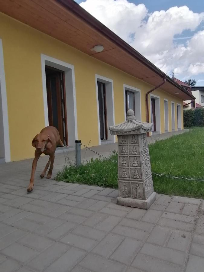 Penzion Loren Františkovy Lázně Екстериор снимка